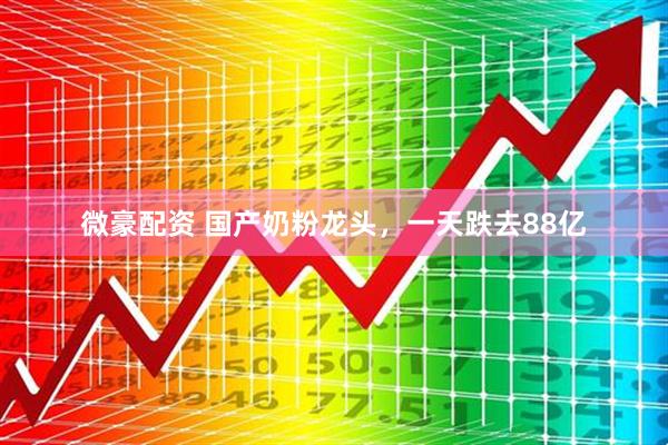 微豪配资 国产奶粉龙头，一天跌去88亿