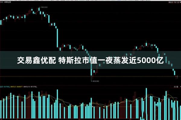 交易鑫优配 特斯拉市值一夜蒸发近5000亿