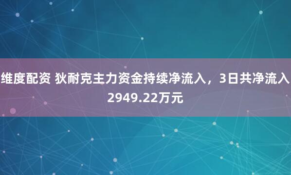 维度配资 狄耐克主力资金持续净流入，3日共净流入2949.22万元