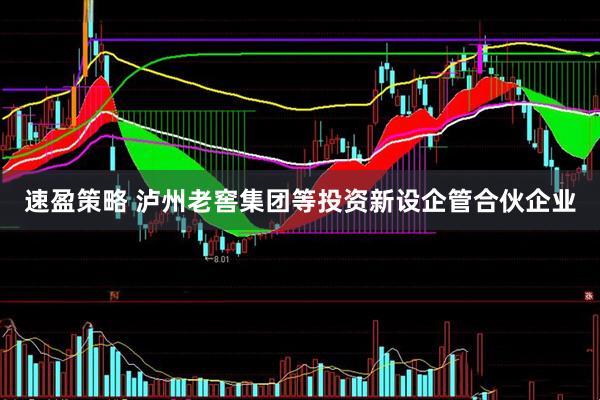 速盈策略 泸州老窖集团等投资新设企管合伙企业