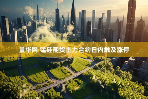 量华网 锰硅期货主力合约日内触及涨停