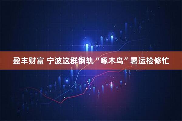 盈丰财富 宁波这群钢轨“啄木鸟”暑运检修忙