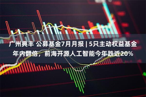 广州典丰 公募基金7月月报 | 5只主动权益基金年内翻倍，前海开源人工智能今年跌近20%