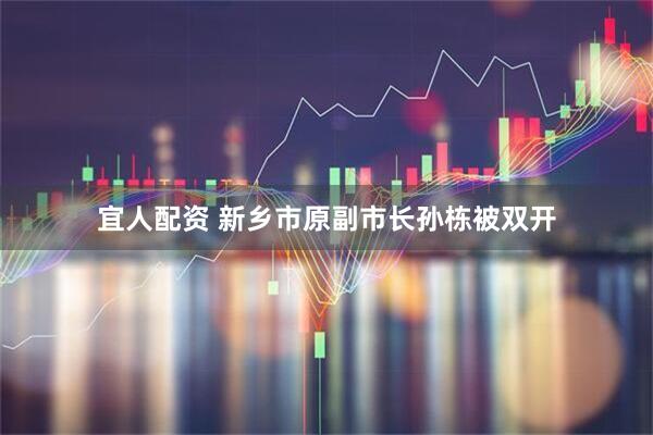宜人配资 新乡市原副市长孙栋被双开