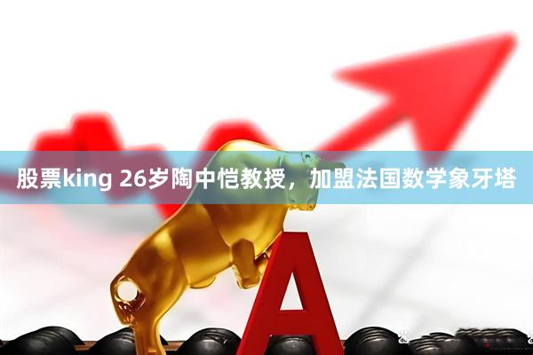 股票king 26岁陶中恺教授，加盟法国数学象牙塔